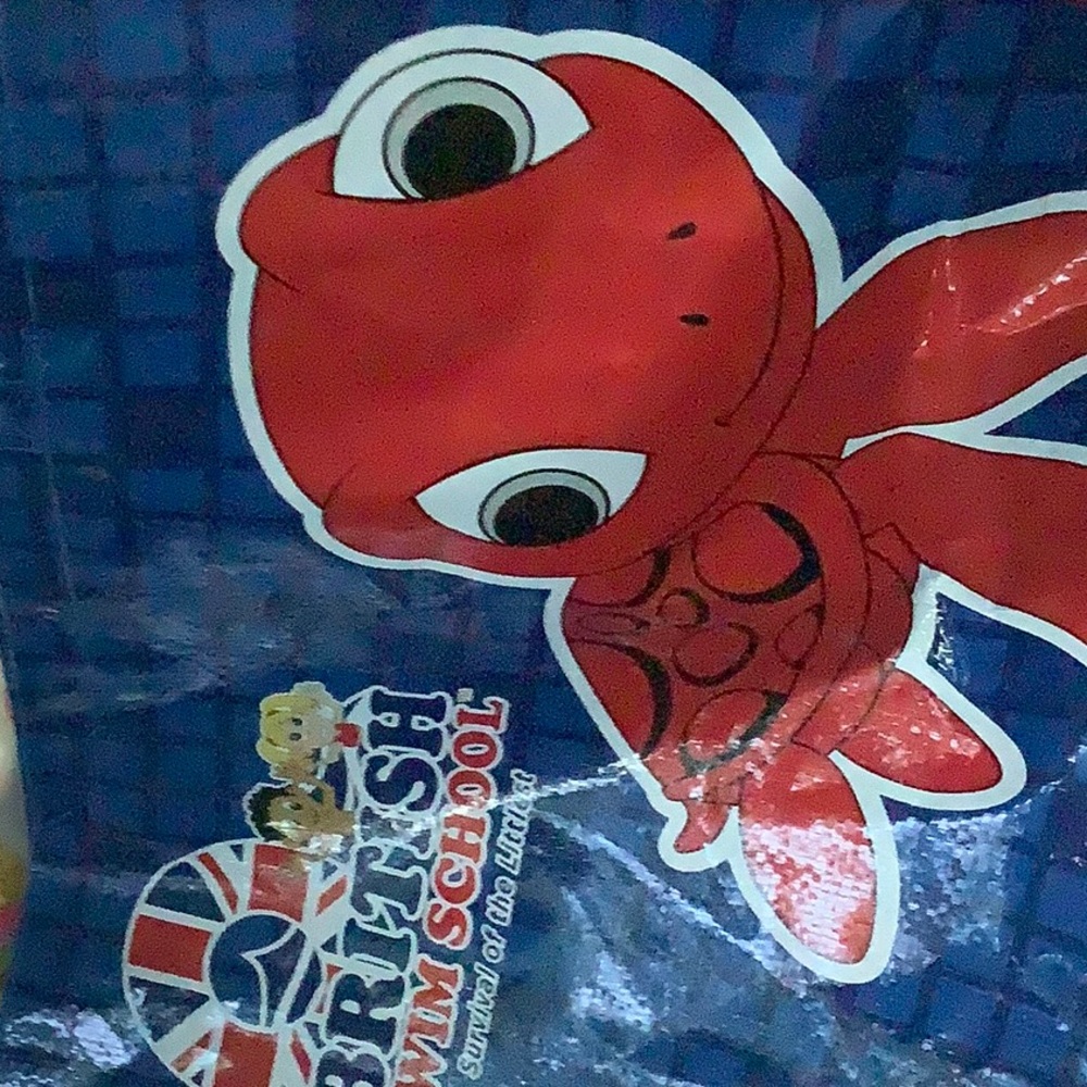 Nice swimming bag